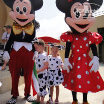 фото из отзыва ID 342482