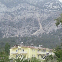 фото из отзыва ID 342534