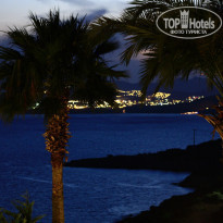 фото из отзыва ID 342786