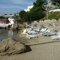 фото из отзыва ID 342919