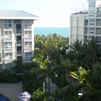 фото из отзыва ID 342934