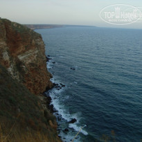 фото из отзыва ID 342517