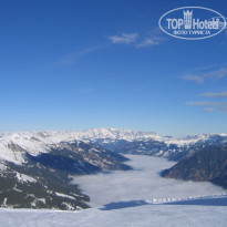 фото из отзыва ID 342016