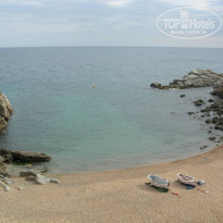 фото из отзыва ID 343086