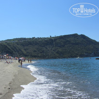 фото из отзыва ID 343554