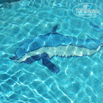 фото из отзыва ID 343989