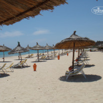 фото из отзыва ID 344265