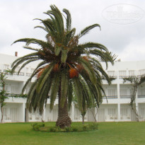 фото из отзыва ID 344265