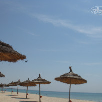 фото из отзыва ID 344265