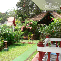 фото из отзыва ID 344319