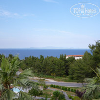 фото из отзыва ID 344513