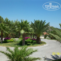 фото из отзыва ID 344628