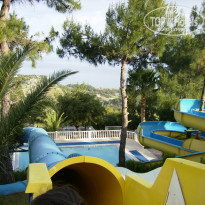 фото из отзыва ID 345122