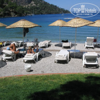 фото из отзыва ID 345518