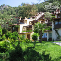 фото из отзыва ID 345518