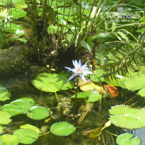 фото из отзыва ID 345800