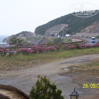 фото из отзыва ID 345834