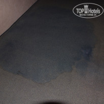 фото из отзыва ID 345853