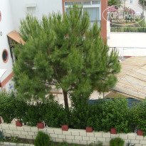 фото из отзыва ID 346065