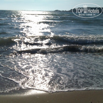 фото из отзыва ID 346686