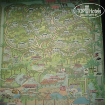 фото из отзыва ID 346800