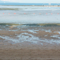 фото из отзыва ID 346842