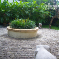 фото из отзыва ID 346842