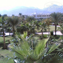 фото из отзыва ID 34788