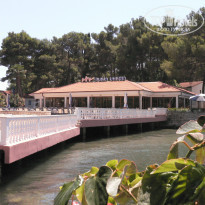 фото из отзыва ID 347871