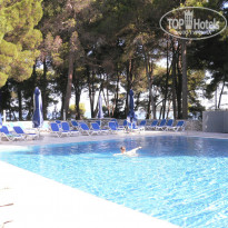 фото из отзыва ID 347871