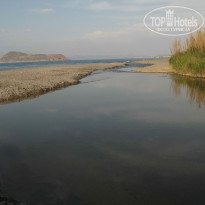 фото из отзыва ID 348164