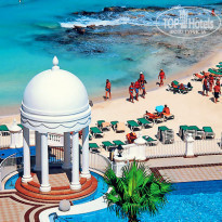 фото из отзыва ID 349010