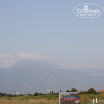 фото из отзыва ID 349416