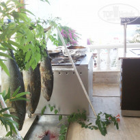 фото из отзыва ID 349943