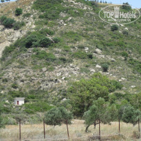 фото из отзыва ID 349931