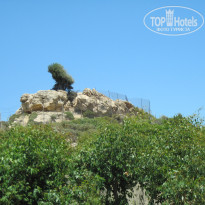 фото из отзыва ID 349931