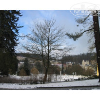 фото из отзыва ID 35049