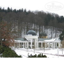 фото из отзыва ID 35058