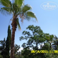 фото из отзыва ID 350406