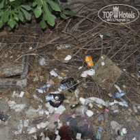 фото из отзыва ID 350535