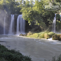 фото из отзыва ID 350535