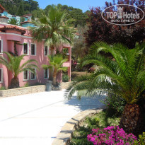 фото из отзыва ID 350719