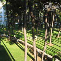 фото из отзыва ID 350769