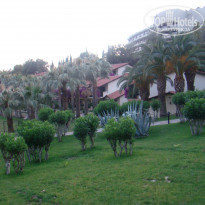 фото из отзыва ID 350885