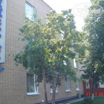 фото из отзыва ID 351045