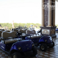 фото из отзыва ID 351052