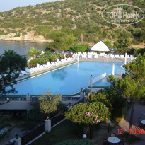 фото из отзыва ID 351392