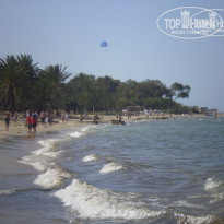 фото из отзыва ID 351510