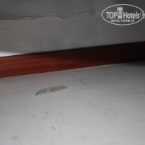 фото из отзыва ID 351539