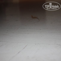 фото из отзыва ID 351539